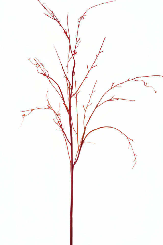 ge10342n rd_lg WILLOW TORTUOSE