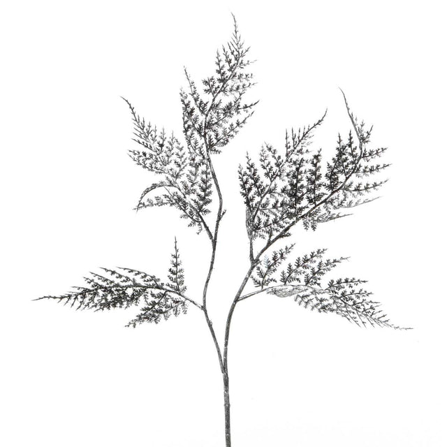 R6065 PT