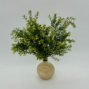 Mini Boxwood Spray Light Green