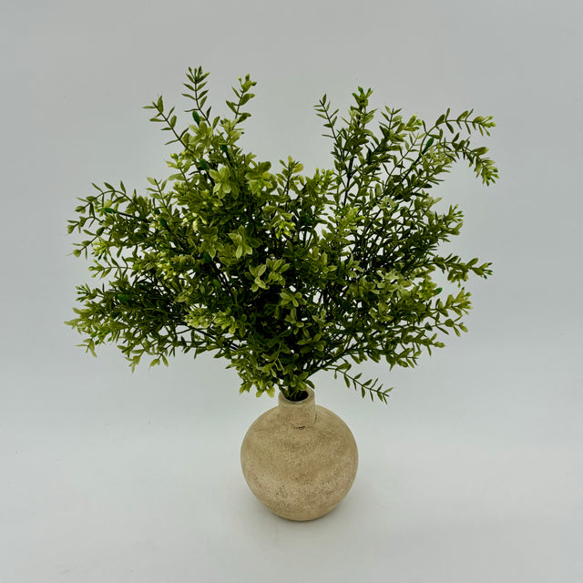 Mini Boxwood Spray Light Green