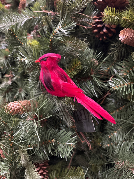 Red Cardinal Bird Ornament on Clip, Feathers, additional view