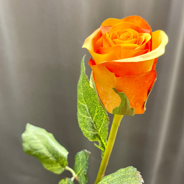 28" Orange Rosebud Stem