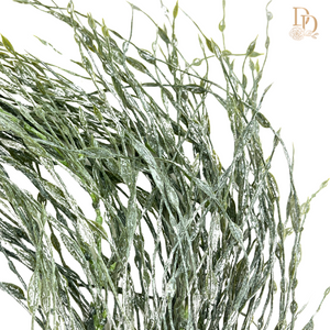 28" Weathered Twisted Grass