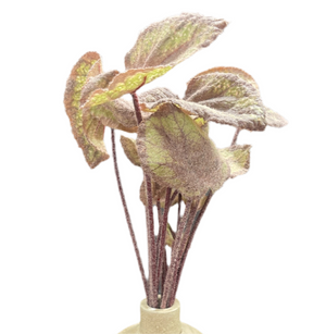 12" Coleus Leaves Stem
