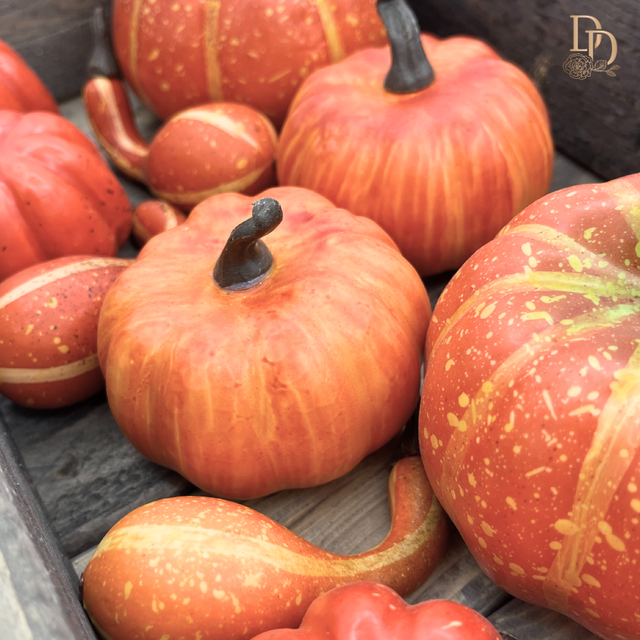 3" Mixed Harvest Pumpkin Gourds | Bag of 12