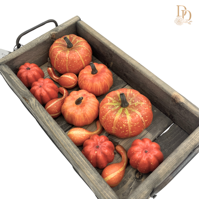 3" Mixed Harvest Pumpkin Gourds | Bag of 12
