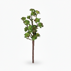 9"-11" green succulent picks