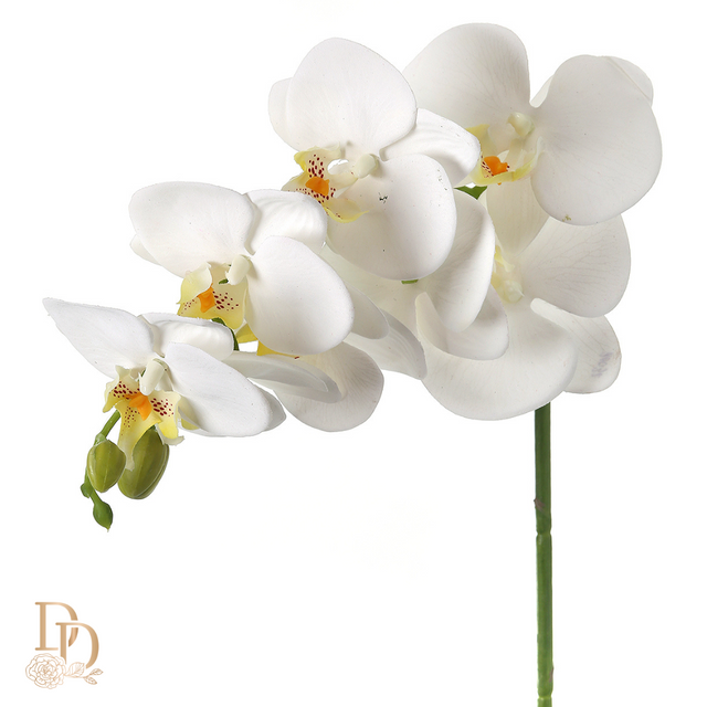 28" White Greenhouse Phaleanopsis Spray