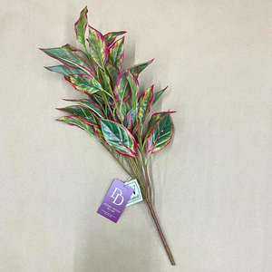 21" Cordyline Bush UV Protected