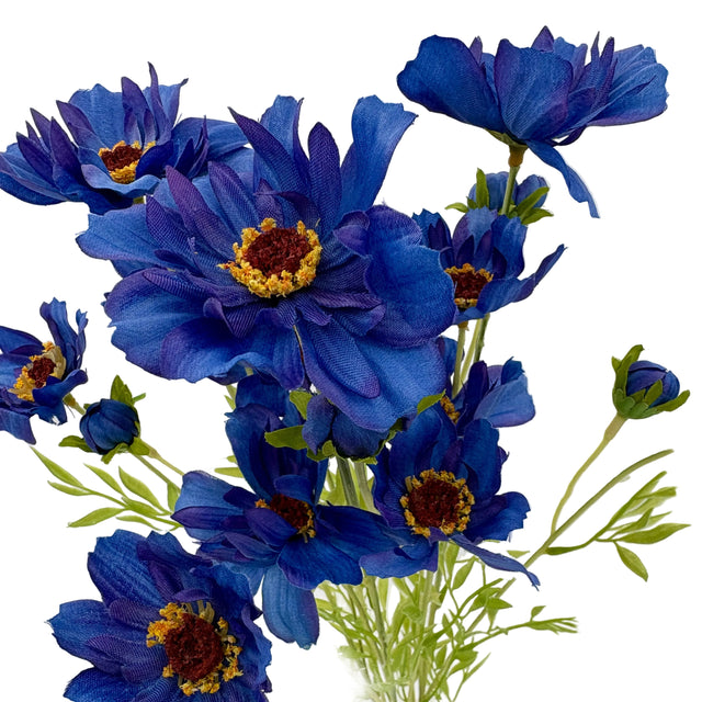 23" Blue Cosmos Bush