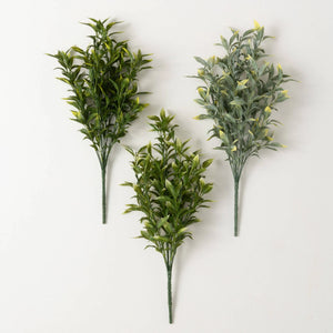 18" Shades of Green Jasmine Bush