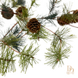 Mountain Brush Christmas Decor, additional view