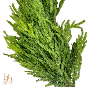 72" Deluxe Natural Touch Norfolk Pine Garland