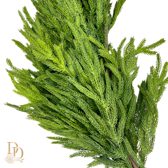 72" Deluxe Natural Touch Norfolk Pine Garland