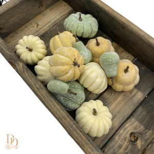 Mini Pumpkin Gourds | Bag of 12 | Cream