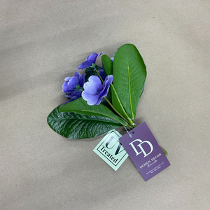 8" African Violet Plant | UV Treated | Lavender Pink Purple