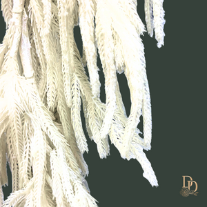 48" Real Touch Flocked White Norfolk Pine Garland
