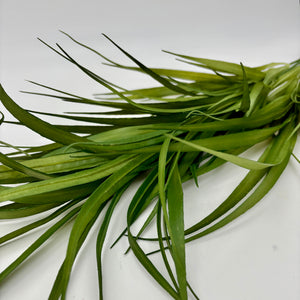 29" Green Blade Grass Bush