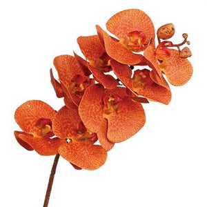 31" Orange Phalaenopsis Orchid Spray
