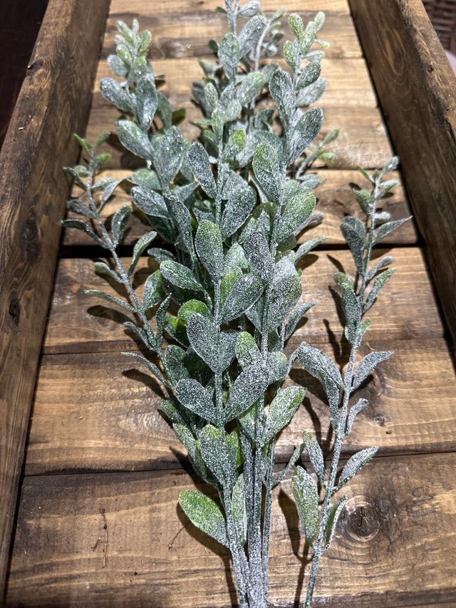 23.5" Frosted Boxwood Stem