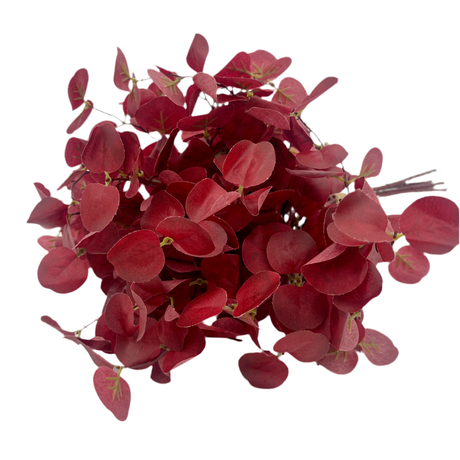 Red Eucalyptus Bundle, additional view