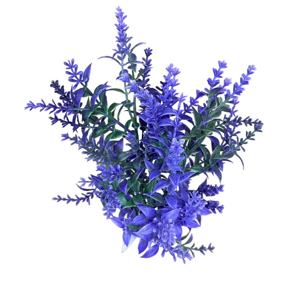 14" Lavender Garden Bush | UV Protected