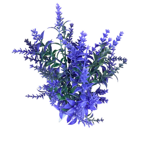 14" Lavender Garden Bush | UV Protected