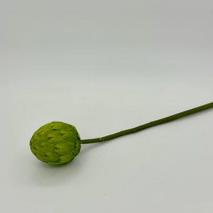 Green Artichoke Spray