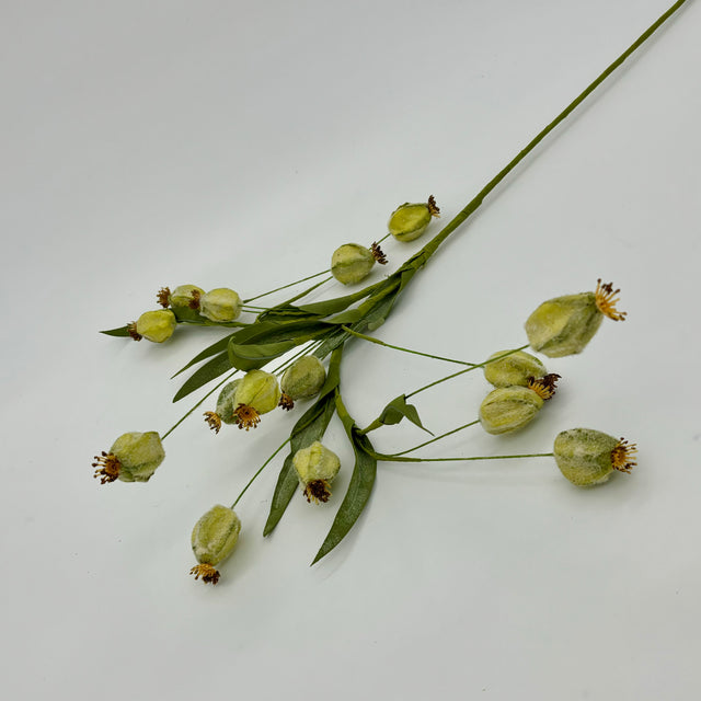 31" Green Rosehip Stem