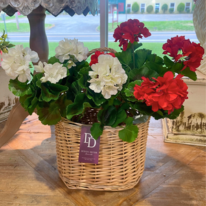 UV-Protected Natural Touch Geranium Bush – Multiple Colors