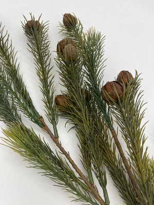 37” Weeping Pine Nut Pick