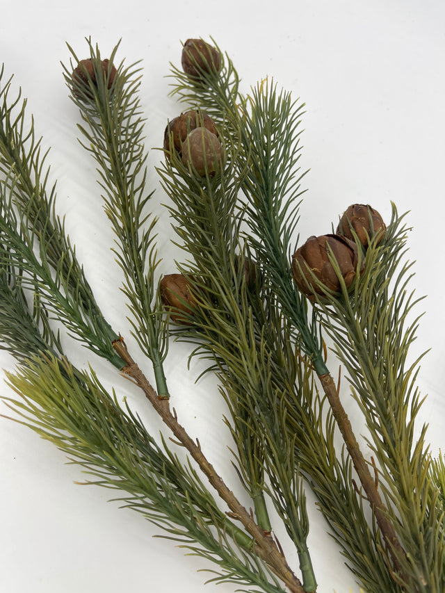 37” Weeping Pine Nut Pick