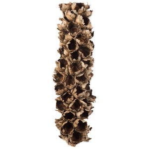 26-28" Natural Giant Seed Pod Half