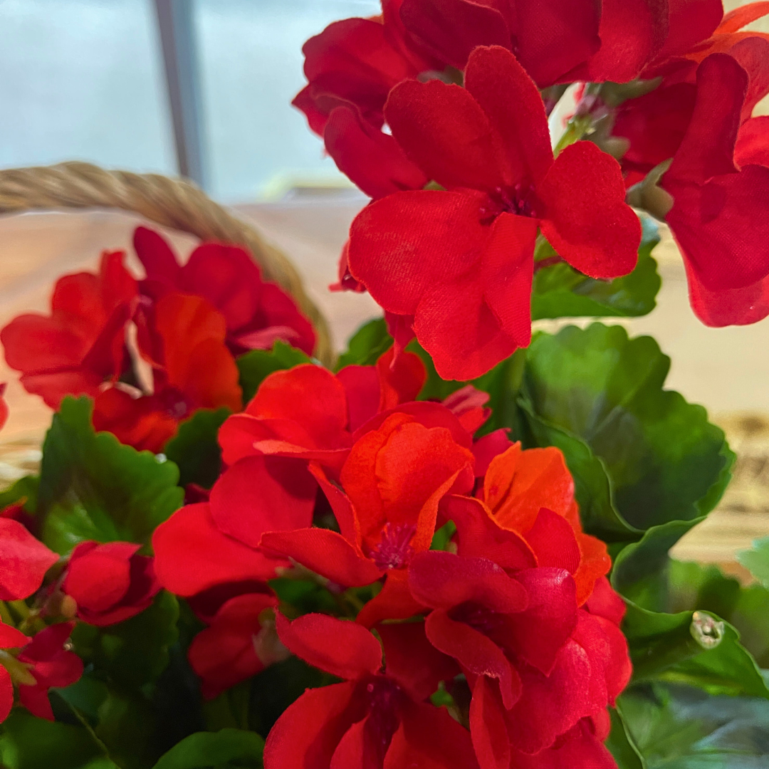UV-Protected Natural Touch Geranium Bush – Multiple Colors