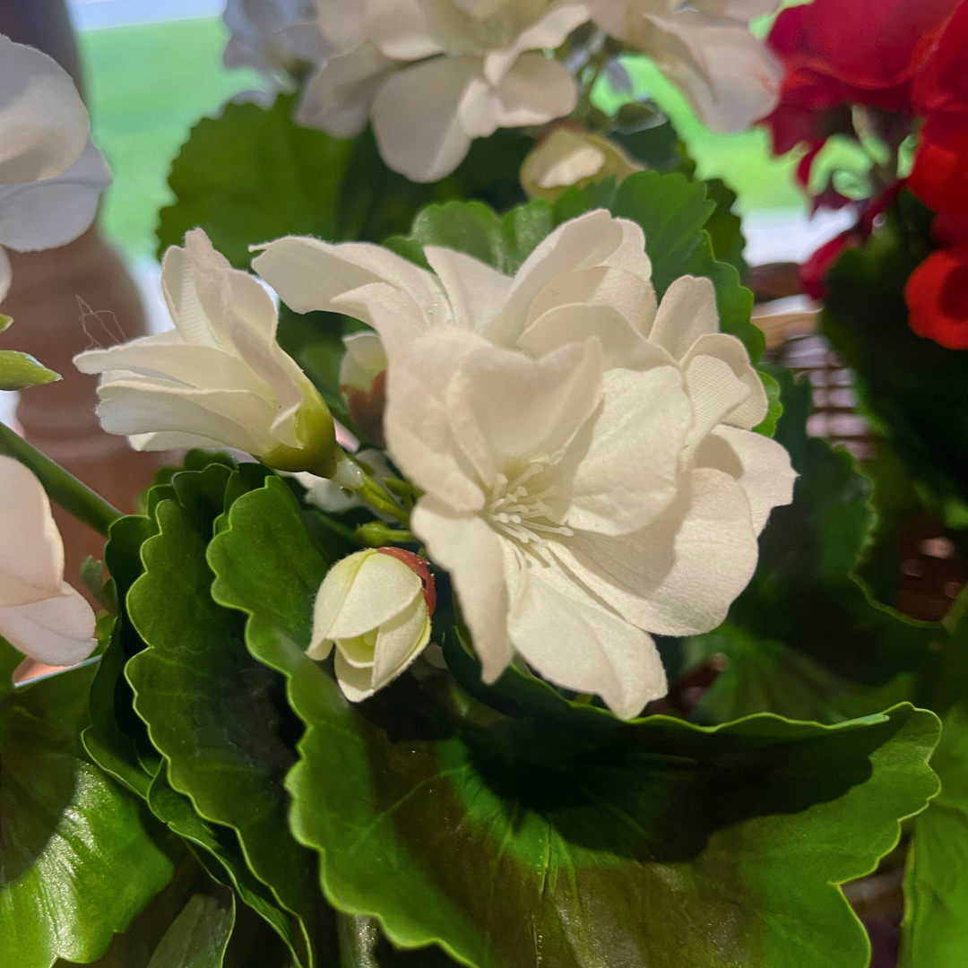 UV-Protected Natural Touch Geranium Bush – Multiple Colors