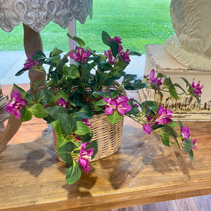 25" Hanging Magenta Bouganvilla Plant | UV Treated