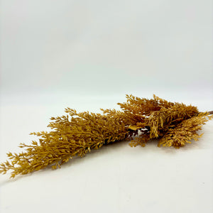 30" Gold Autumn Broom Corn Spray
