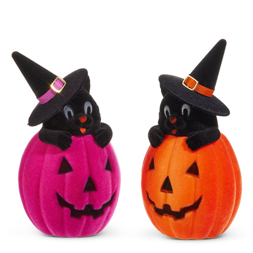 10" Flocked Cat in Jack-O'-Lantern | Two Playful Colors Available