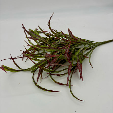 Red/Green Flat Grass Bush, additional view