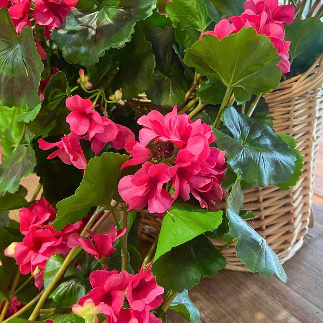 36" Natural Touch Hanging Geranium Plant | UV Protected | Multiple Colors