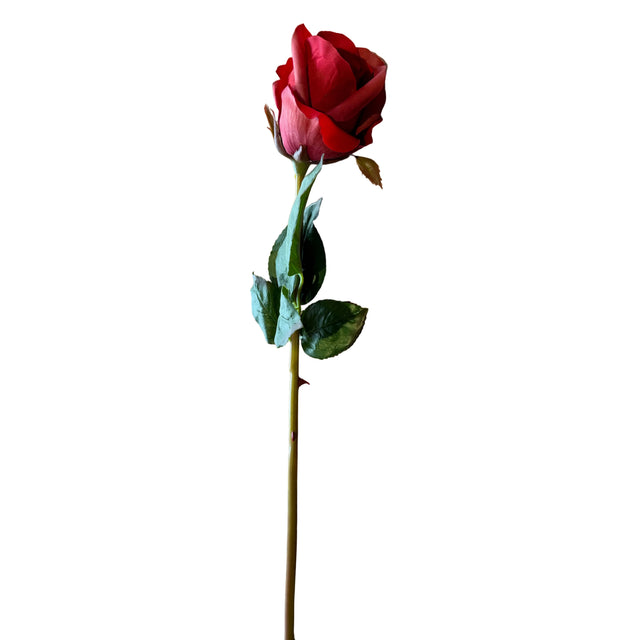 23" Just Cut Garden Red Rose Bud