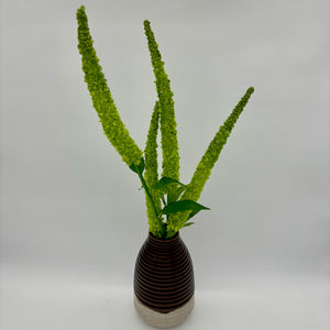 44" Green Amaranthus Stalk