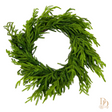 Just Cut Real Touch Norfolk Pine Wreath, additional view