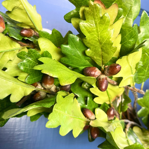 25" Oak Leaf Wreath