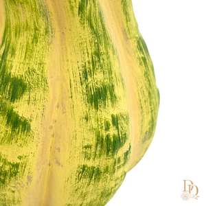 7" Ceramic Green Squash Pumpkin