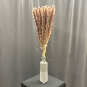 26" Natural Pampas Grass Bundle - Brown