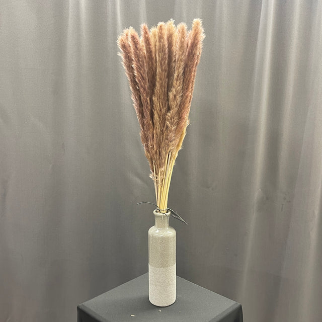 26" Natural Pampas Grass Bundle - Brown