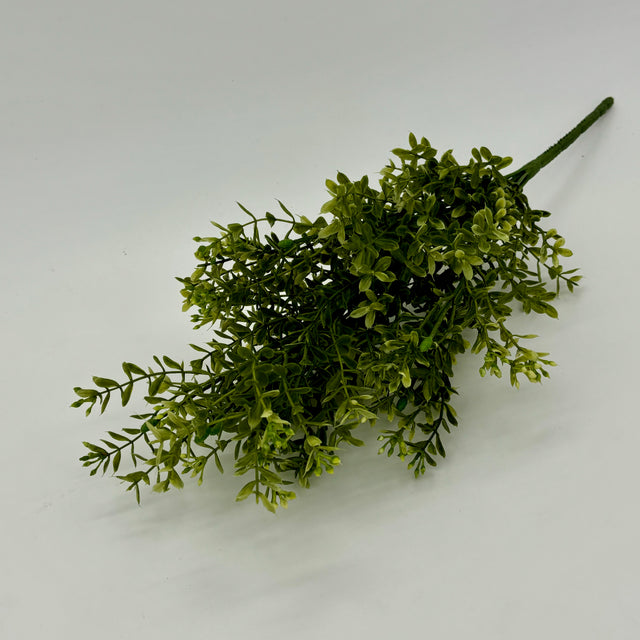 Mini Boxwood Spray Light Green