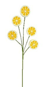 24" Lemon Spray