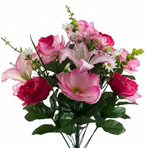 24" Pink Rose Magnolia Lily Bush